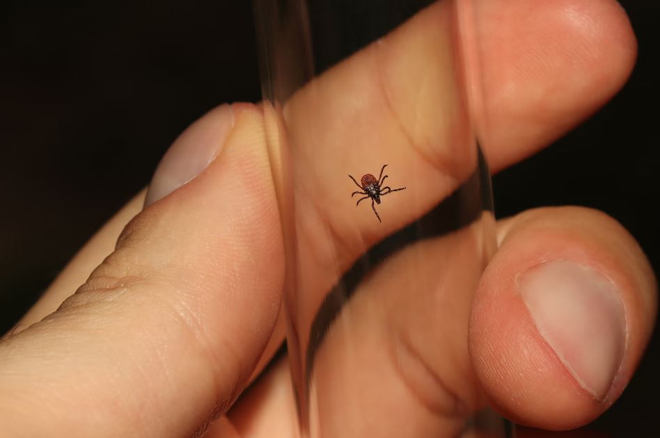 곤충학자 직업 되는 방법 하는 방법 알아보겠습니다