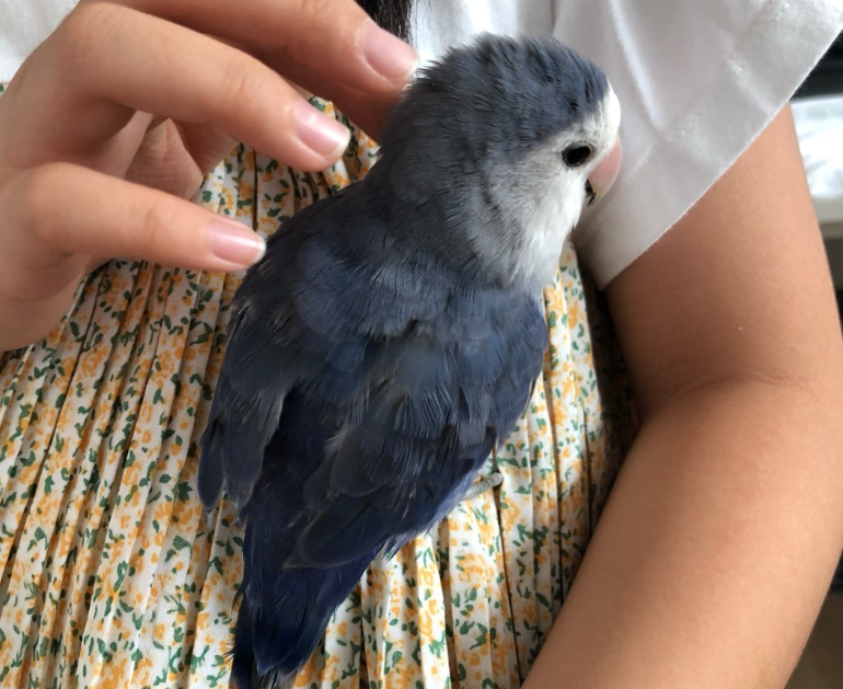 동물 사육사 직업 하는일 되는방법 알아보겠습니다