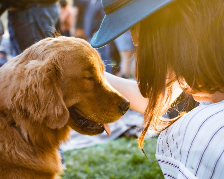 동물조련사 하는 일 되는 방법 알아보겠습니다