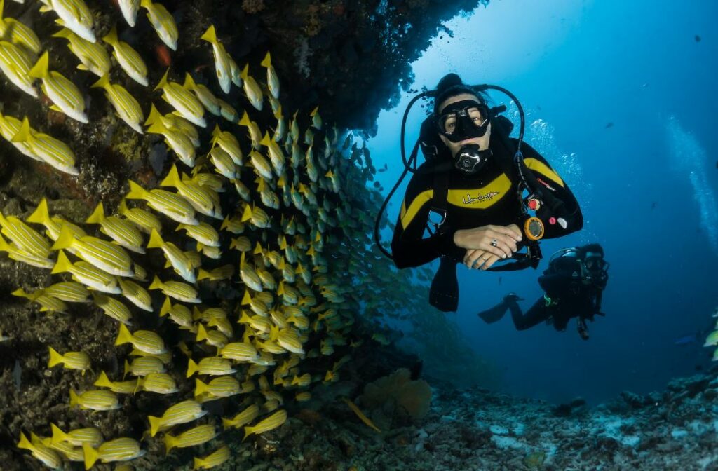 해양 레저전문가 관련된 직업 하는일 알아보겠습니다