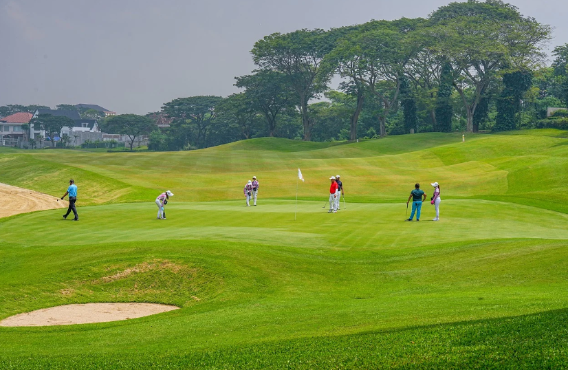 골프 캐디 하는일 골프진행도우미 되는방법