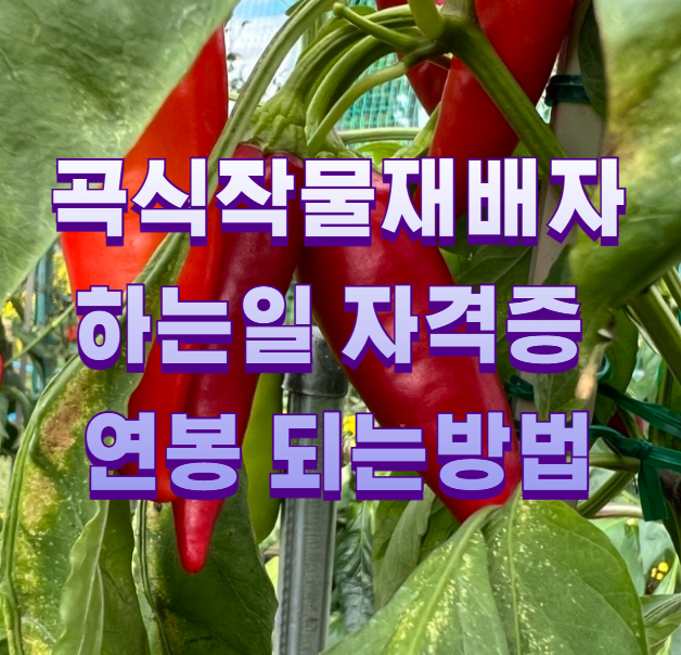 곡식작물재배자 하는일 자격증 연봉 되는방법1