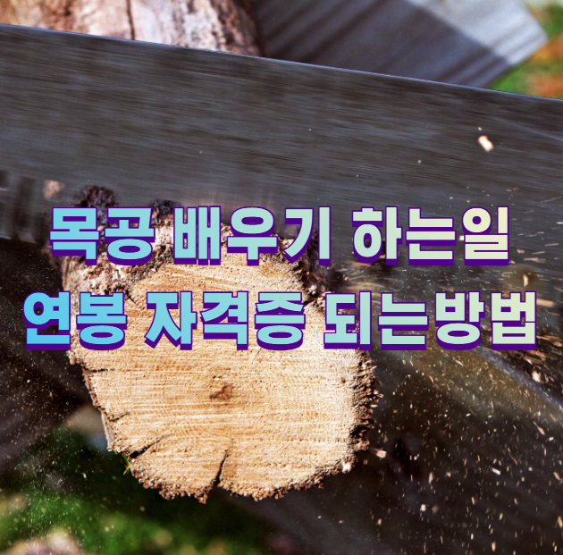 목공 배우기 하는일 연봉 자격증 되는방법
