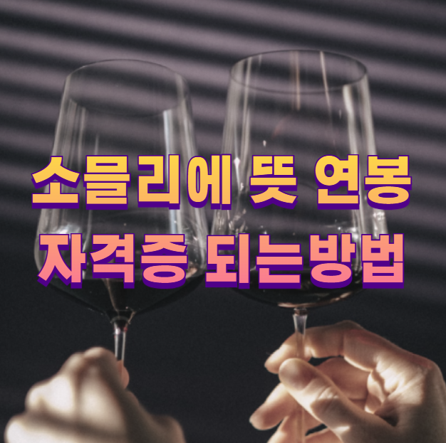 소믈리에 뜻 연봉 자격증 되는방법1