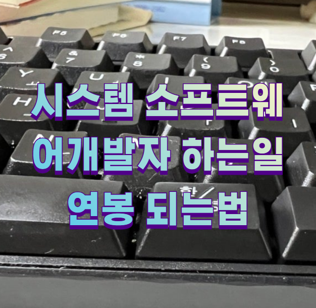 시스템 소프트웨어개발자 하는일 연봉 되는법1