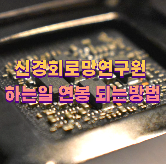 신경회로망연구원 하는일 연봉 되는방법1