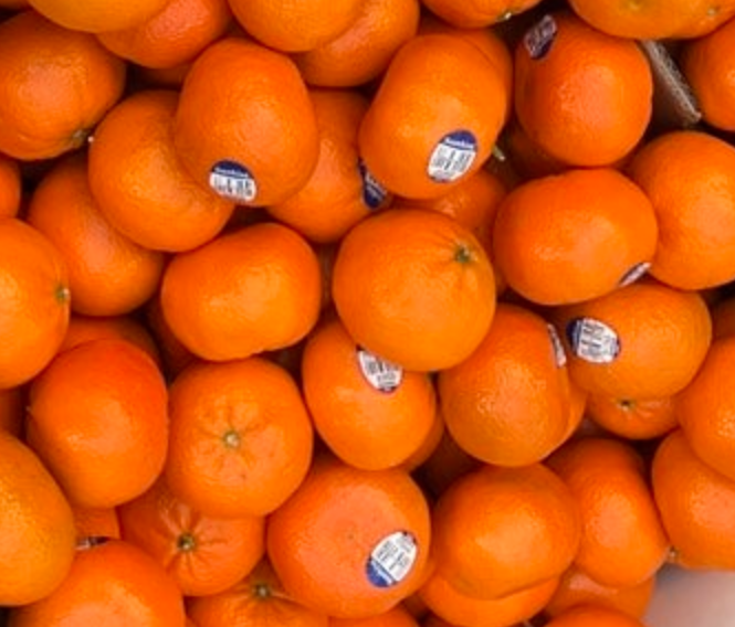 스마트 팜 구축가 하는일 연봉 되는법1