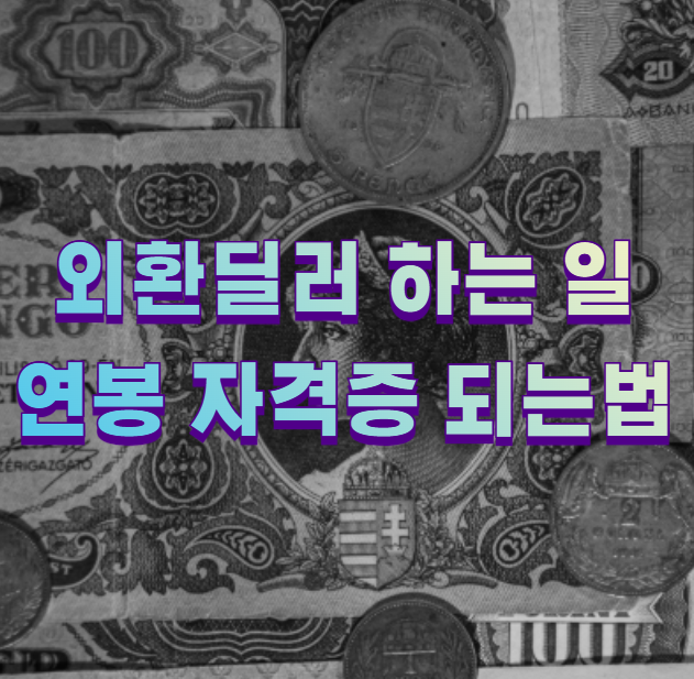 외환딜러 하는 일 연봉 자격증 되는법1