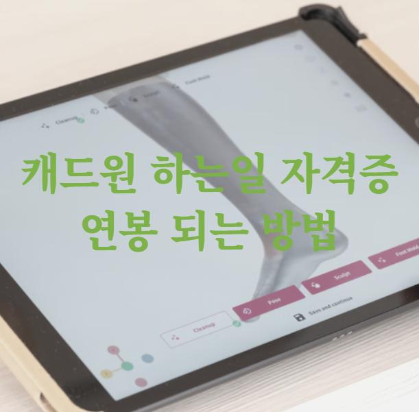 캐드원 하는일 자격증 연봉 되는 방법1