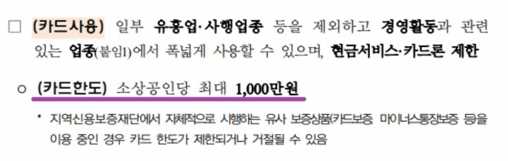 소상공인 신용카드 지원금, 비즈플러스 1,000만원 카드 발급